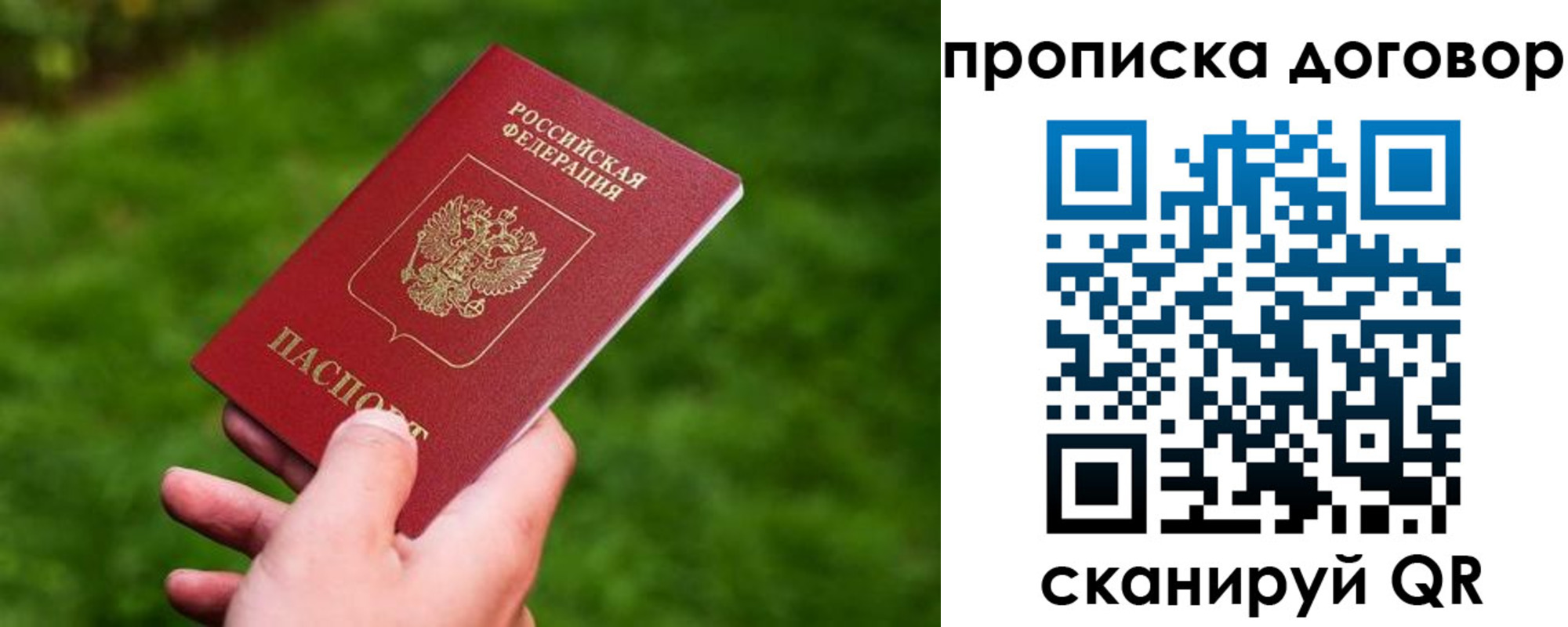 прописка гарантия в Коряжме